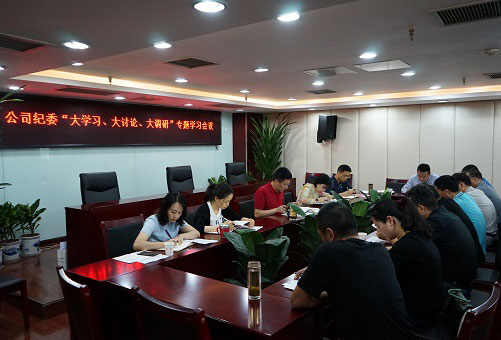 以“大學(xué)習(xí)、大討論、大調(diào)研”為動(dòng)力推動(dòng)公司紀(jì)檢監(jiān)察工作扎實(shí)開(kāi)展