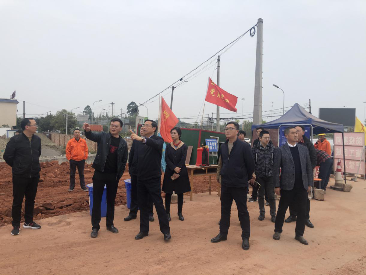 樂山市副市長羅新禮赴成樂擴容E2-SG2項目調研指導工作.png